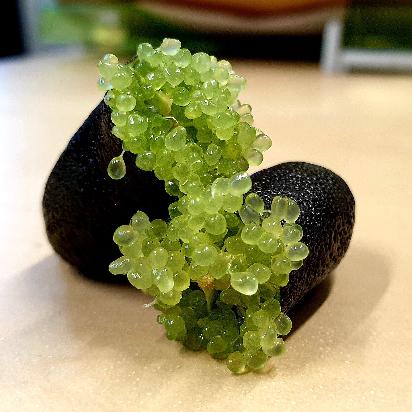 Fruit Caviar Citron-Citron Vert, Taille De Perle 5mm, Sphères