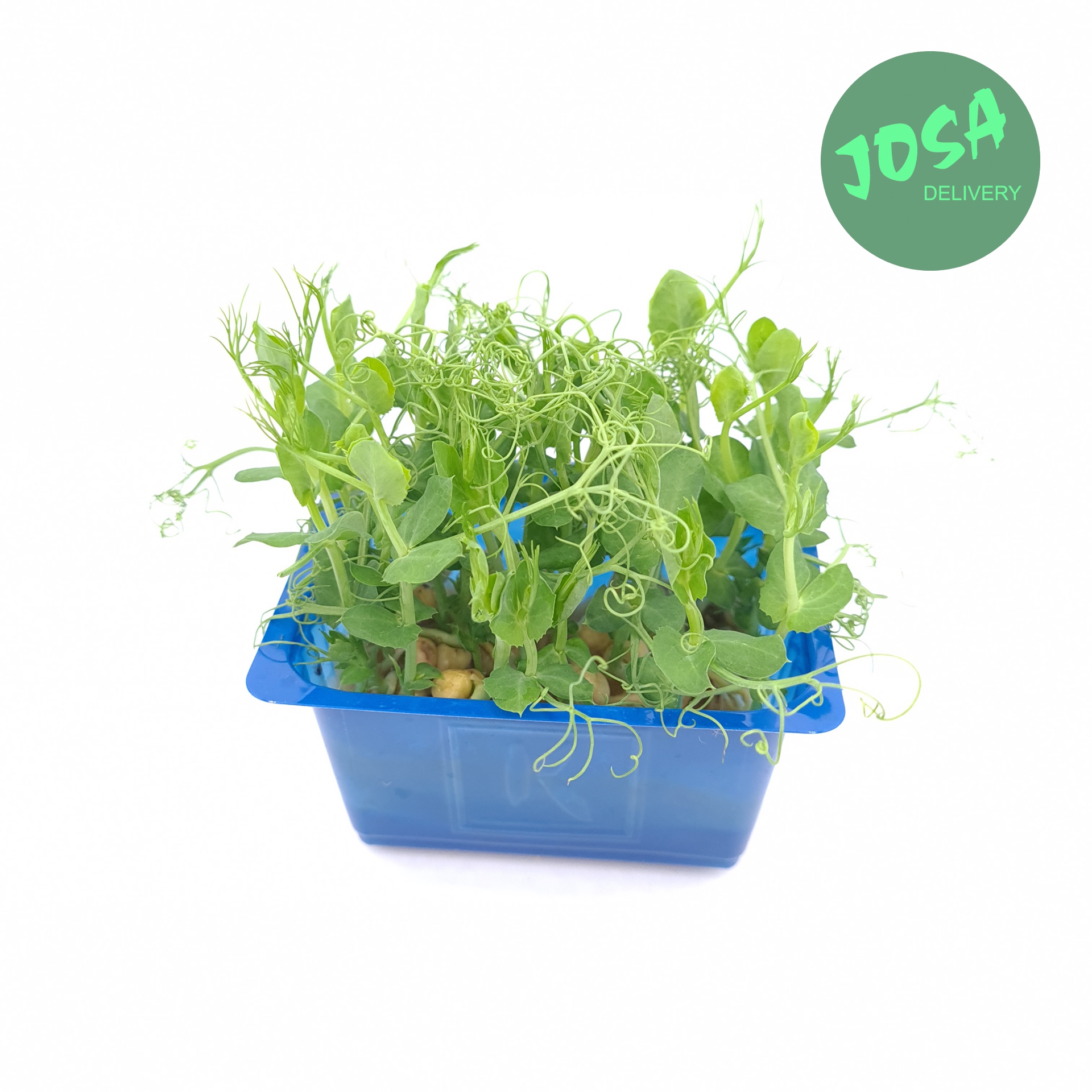 Affilla Cress